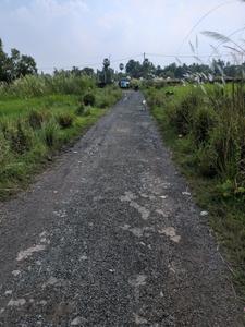 Wander Valley Internal Roads 2