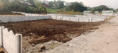 Pirangut Plot View 1