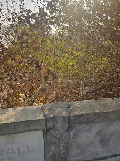 KBL Enclave Plots Main Image 1