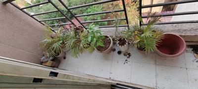 Balcony Image of 670 Sq.ft 1 BHK Apartment / Flat for sale in Mayfair Vishwaraja, Titwala Thane for Rs. 3000000