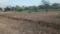 Sonewadi Main Image 1