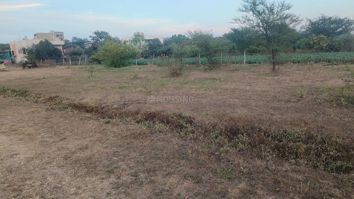Sonewadi Main Image 1