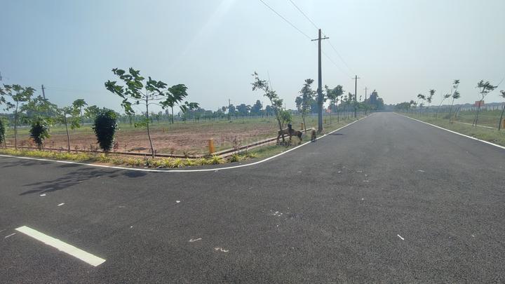 Bhogapuram Main Image 1