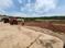 Shiv shiddh residency  Plot View 2