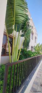 Image of 1250 Sq.ft Residential Plot / Land for sale in Bhilai Marshalling Yard, Charoda for Rs. 2125000