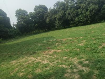 Image of 1000 Sq.ft Residential Plot / Land for sale in Amausi, Lucknow for Rs. 1700000
