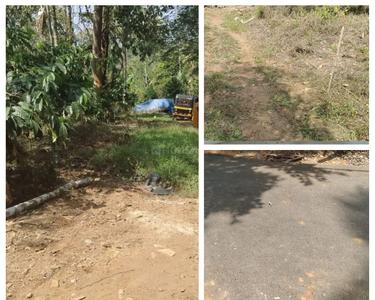 Image of 8060 Sq.ft Residential Plot / Land for sale in Sultan Bathery, Wayanad for Rs. 1385000
