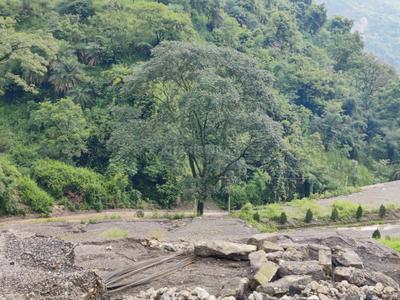 Image of 3600 Sq.ft Residential Plot / Land for sale in Sahastradhara, Dehradun for Rs. 12000000
