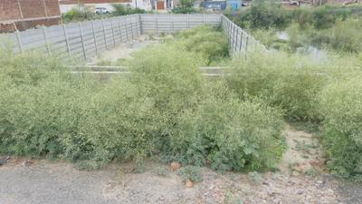 Image of 250 Sq.ft Residential Plot / Land for sale in Residential Authority Plots, Noida Extension, Greater Noida for Rs. 53700000