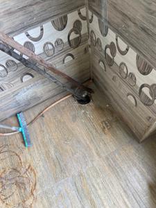 Bathroom Image of 2034 Sq.ft 3 BHK Apartment / Flat for rent in Volts Mathuravanm, Madhurawada Visakhapatnam for Rs. 25000
