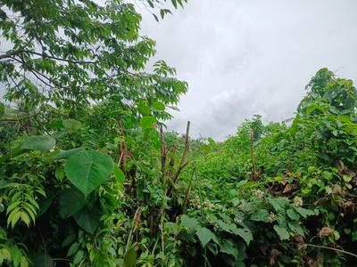 Image of 7000 Sq.ft Residential Plot / Land for sale in Kaikamba, Mangalore for Rs. 6500000