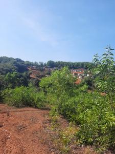 Image of 93200 Sq.ft Residential Plot / Land for sale in Kumta, Uttara Kannada for Rs. 86000000