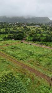 Best Pimplad Plot Plot View 2