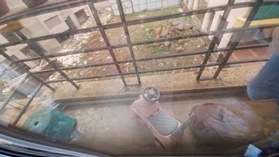Balcony Image of 450 Sq.ft 1 BHK Apartment / Flat for sale in Ambika Shree Ambika Niwas, Panvel Navi Mumbai for Rs. 4200000