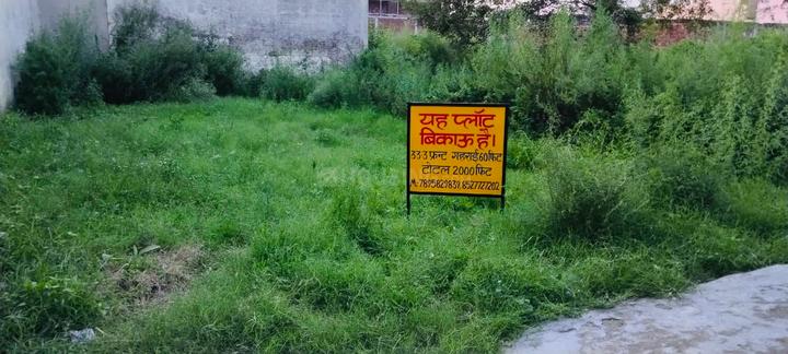 Dhandera Main Image 1