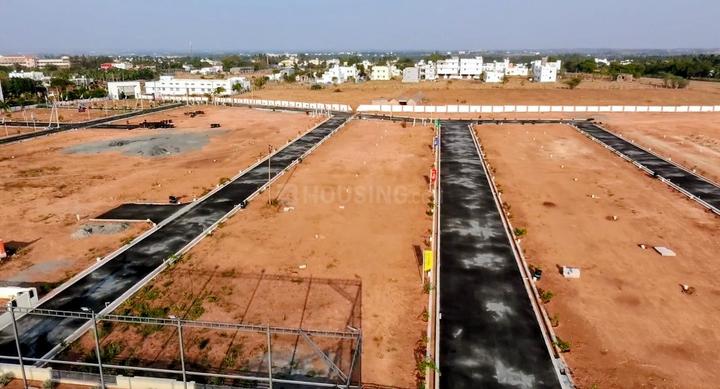 Karamadai Main Image 1