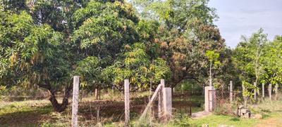 Residential Plot