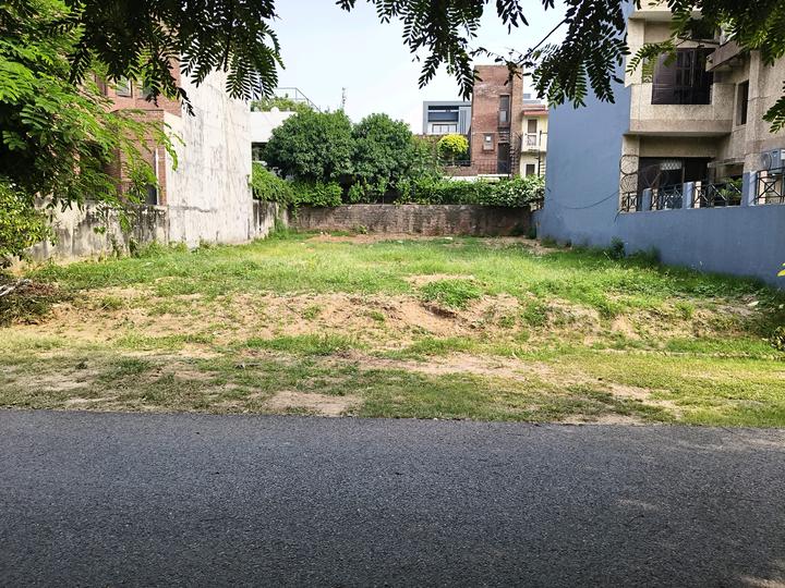 Sector 25, DLF Phase 2 Main Image 1