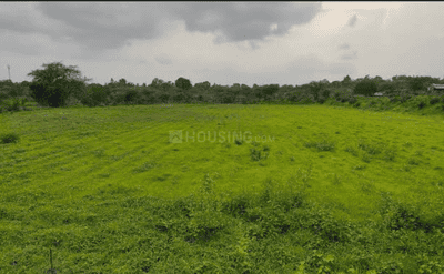 Image of 56736 Sq.ft Residential Plot / Land for sale in Murbad, Thane for Rs. 7300000