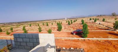 Agricultural Land