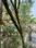 Image of Deshmukh Homestay in Kothrud, Pune