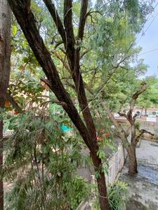 Image of Deshmukh Homestay in Kothrud, Pune