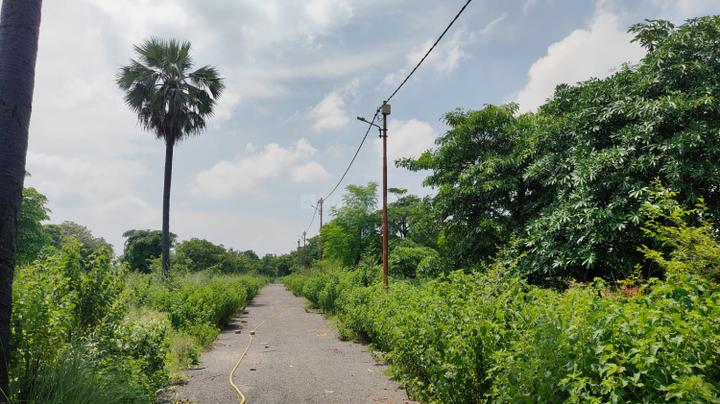 Sharda Nagar Extenison Main Image 1