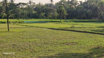 Sarisha Plot View 3