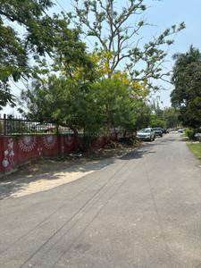 Residential Plot