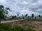 Theur Main Image 1