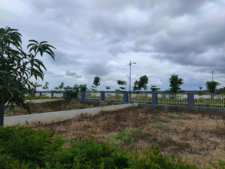 Theur Main Image 1