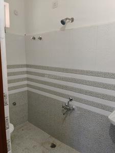 Bathroom Image of 2050 Sq.ft 3 BHK Builder Floor for rent in Vidya Nagar Colony Tirupathi for Rs. 29000