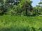 Natures Paradise Main Image 1
