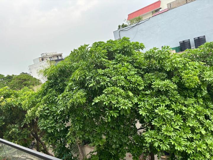 Moti Vihar, Sector 41 Main Image 1