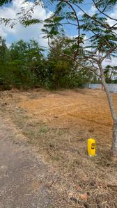 Thodukadu More Images 3