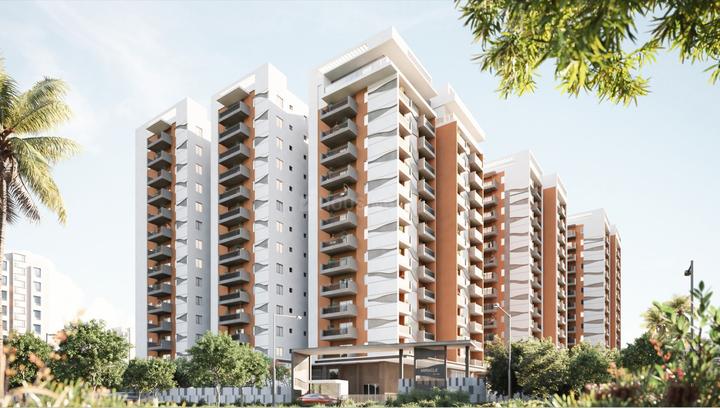 IRA Miracle Main Image 1