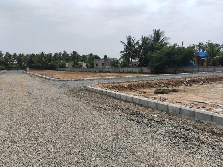 Serasa Singhvi Garden Main Image 1