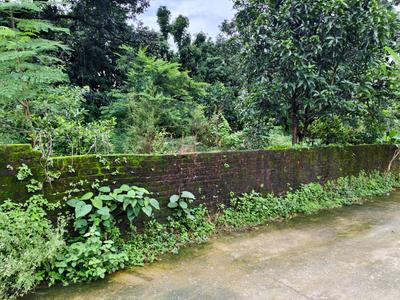 Sinaula Plot View 1
