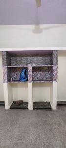 Hall Image of 1200 Sq.ft 2 BHK Builder Floor for rent in Gandhibagh Nagpur for Rs. 11000