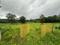 Vangani Plot View 2