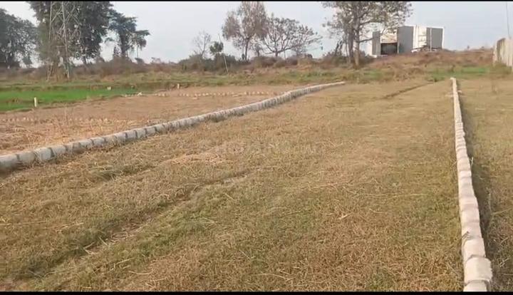 Prakriti green  Main Image 1