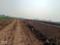 Bhusaula Danapur Chak Plot View 2