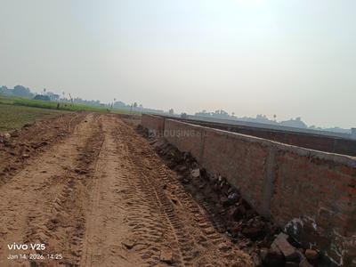 Bhusaula Danapur Chak Plot View 2