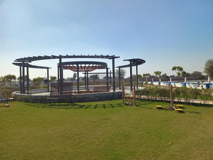 Diggi roag Main Image 1