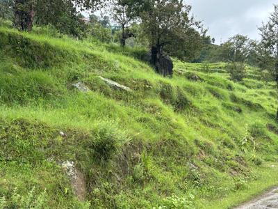 Image of 1800 Sq.ft Residential Plot / Land for sale in Airari, Ranikhet for Rs. 800000