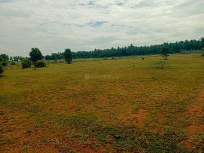 Residential Plot