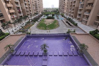 Image of 1110 Sq.ft 2 BHK Apartment / Flat for rent in ACE Platinum, Zeta I, Greater Noida for Rs. 22000