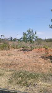 Image of 2371 Sq.ft Residential Plot / Land for sale in NGO Colony, Tirunelveli for Rs. 8700000
