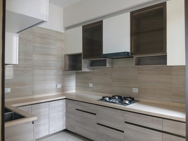 Unity The Amaryllis Phase 1 Main Image 1