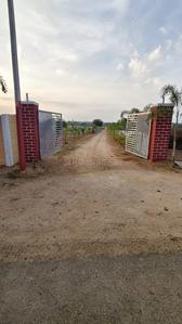 Farmpl Plot View 2